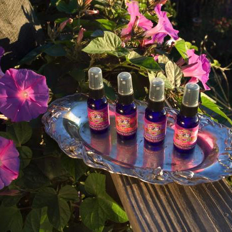 Organic California Lavender ~ Incredibly gentle, lavender is traditionally used for deep relaxation and for balancing and toning all skin, especially sensitive skin.
