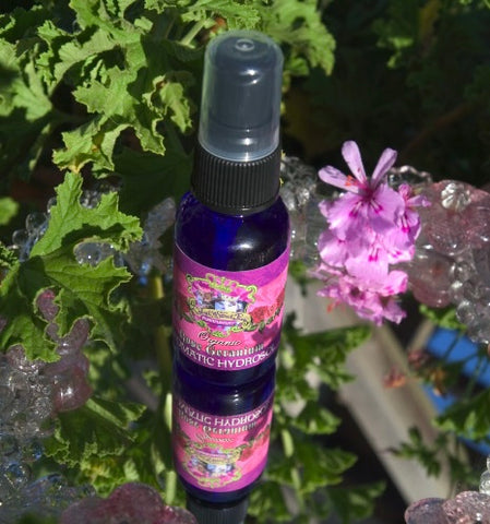 Organic Rose Geranium Hydrosol